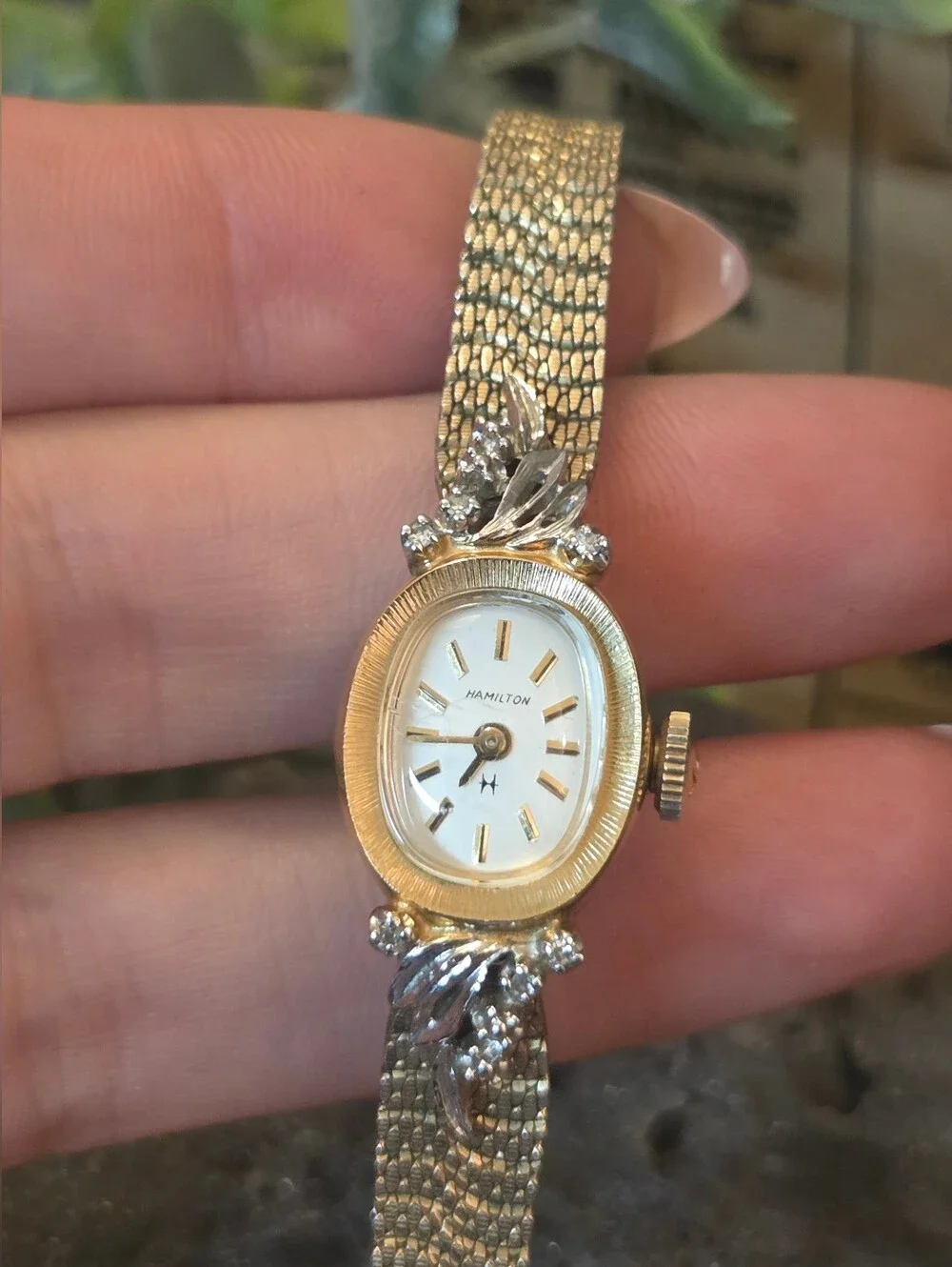 N/A ladies hamilton